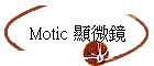 Motic L